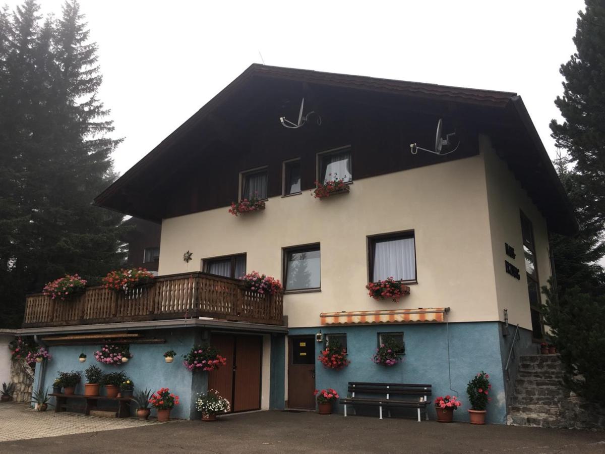 Bed and Breakfast Haus-Erzberg Vordernberg Exterior foto