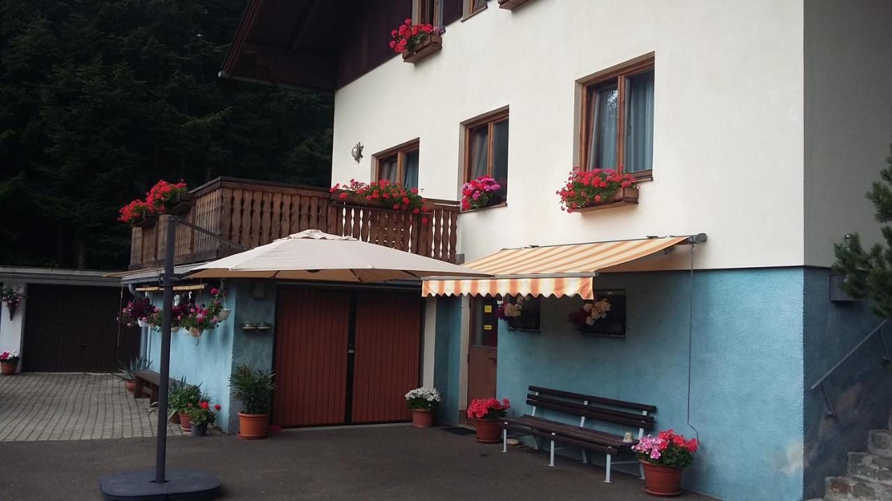 Bed and Breakfast Haus-Erzberg Vordernberg Exterior foto
