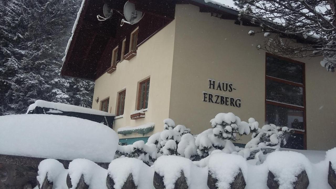 Bed and Breakfast Haus-Erzberg Vordernberg Exterior foto
