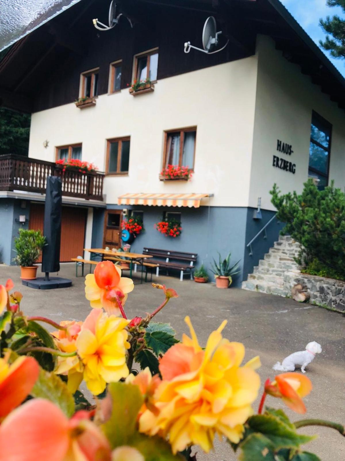 Bed and Breakfast Haus-Erzberg Vordernberg Exterior foto