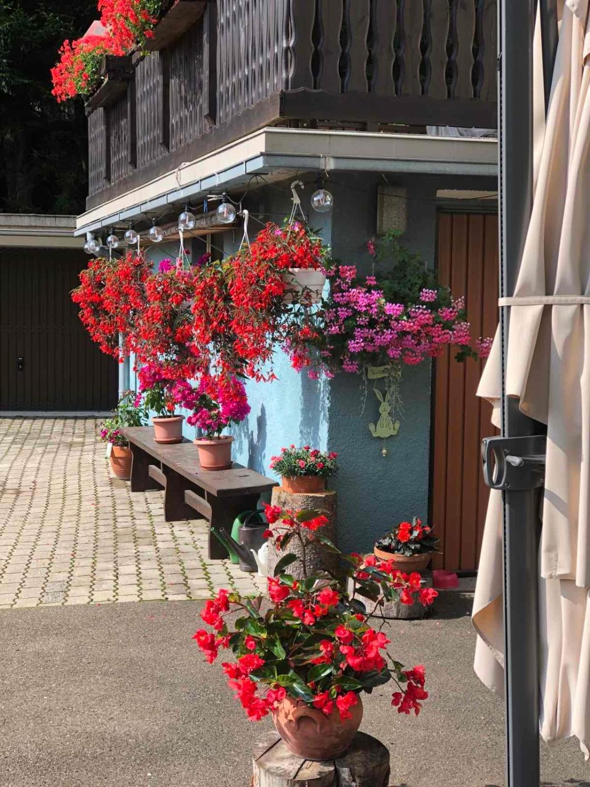 Bed and Breakfast Haus-Erzberg Vordernberg Exterior foto