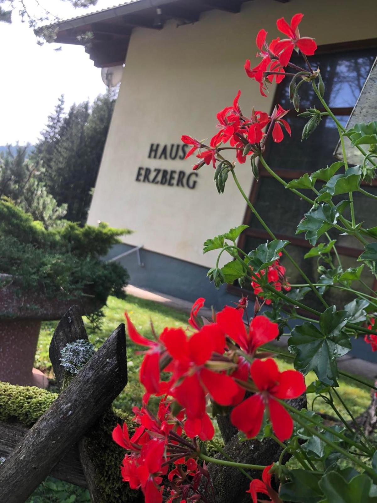 Bed and Breakfast Haus-Erzberg Vordernberg Exterior foto
